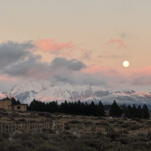 2ddcc368-bf12-4744-a689-2600f77687fd 3