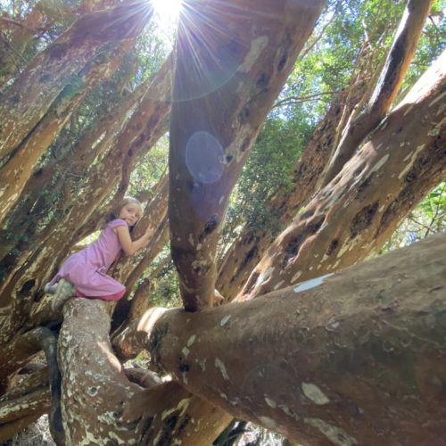 415EAD98-CE26-41DA-B4F3-94EEC998746C_1_105_c