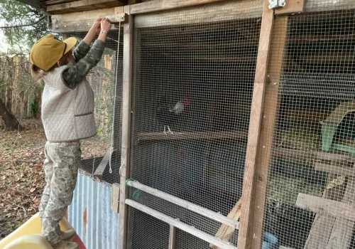 A5387A22-5504-41FD-8E34-F4C8AEB93E75_1_105_c