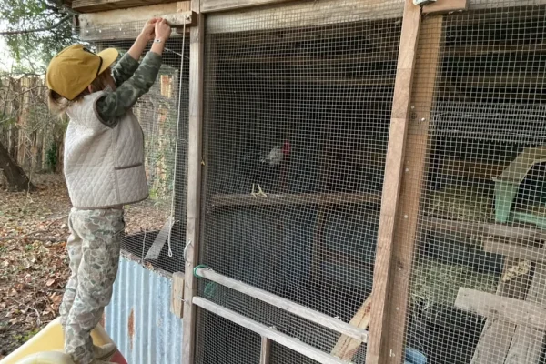 A5387A22-5504-41FD-8E34-F4C8AEB93E75_1_105_c