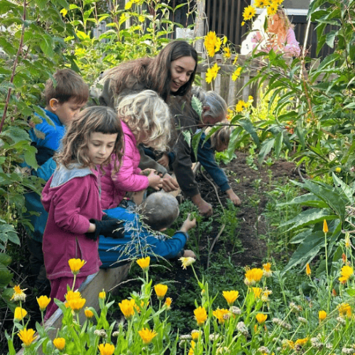 Captura de pantalla 2026-01-26 163828