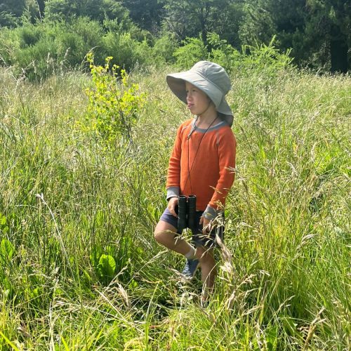 WhatsApp Image 2024-09-27 at 10.09.22 (1)